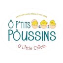 Ô P’tits PÔussins O’Little Chicks company logo