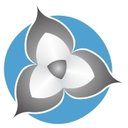 Wild Ginger company logo