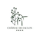 Château de Saulon company logo