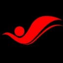 Virtue Insight company logo
