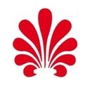 LDI company logo