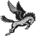 PEGASUS EXPRESS LTD company logo