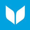 Virtuous company logo