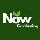 NOW Gardening company logo
