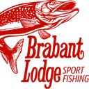 Brabant Lodge LTD company logo