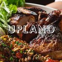 UPLAND company logo