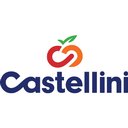 Castellini Company company logo