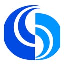 Surflex Technology Pvt Ltd company logo