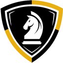 Advanced Protective Services company logo