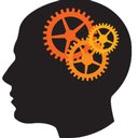 Amber Case Management LTD company logo