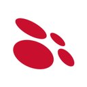 Copernica company logo