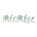 株式会社ビック・ライズ company logo