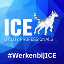ICE Utility Professionals company logo