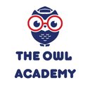 The Owl Academy company logo