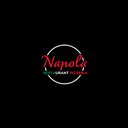 Napola sarl company logo