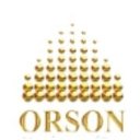 Orson company logo