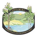 District of Taylor company logo