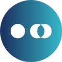 Signal49 Research company logo