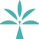 PLA Design Studio company logo