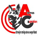 ALARMAS GUARDIAN company logo