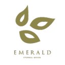 Emerald Eternal Green company logo