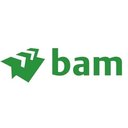 BAM Building company logo
