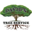 David's Tree Service, Inc. company logo