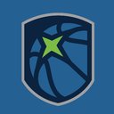 Minnesota Timberwolves & Lynx company logo