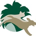 Sabal Palm Animal Hospital company logo