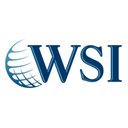 WSI Smart Marketing company logo