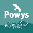 Powys County Council company logo