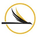 Falcon Construction company logo