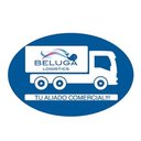 BELUGA DE MEXICO SA de cv company logo