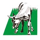 Guardamiglio company logo