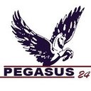 Pegasus24 company logo