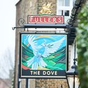 The Dove company logo