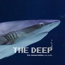 The Deep company logo