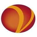 Vedic systems company logo