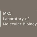 UK Research and Innovation (UKRI) company logo