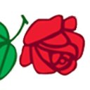Corsos Garden Center company logo