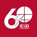 E & A Consulting Group, Inc company logo