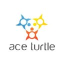 Ace Turtle Services Pvt Ltd company logo