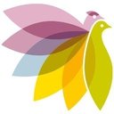 Pleyade company logo