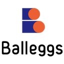 株式会社バレッグス company logo