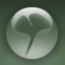 Ginko Systems company logo