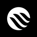 Wise Up company logo