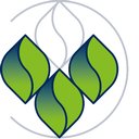 Verheij Integrale groenzorg company logo