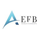 EFB company logo