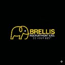 Brellis Recruitment company logo