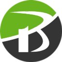 Best Web Solutions company logo